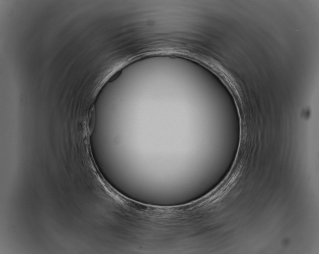 X0000100941385200806241152