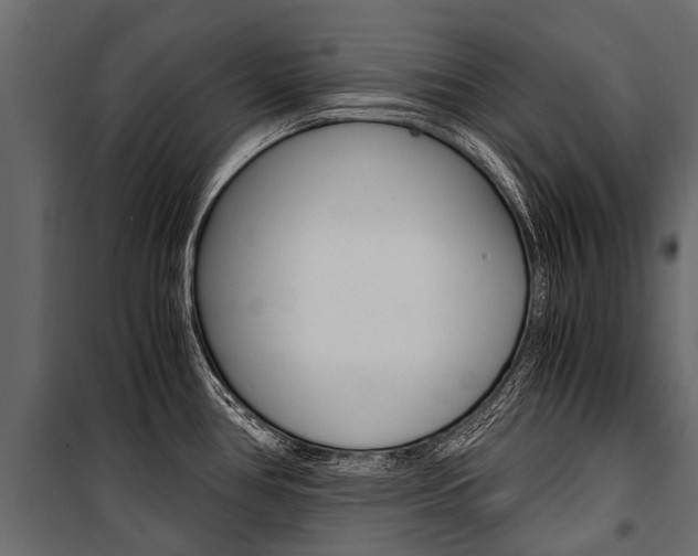 X0000100941386200806241152