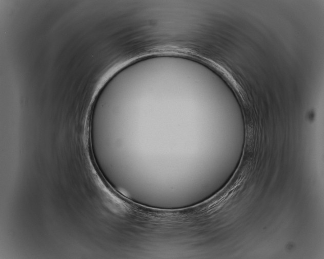 X0000100941387200806241152