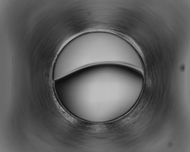 X0000100941388200806241152