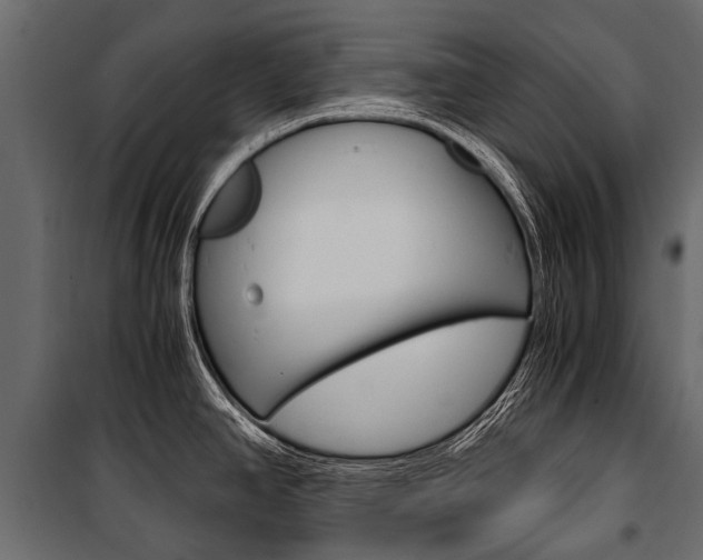 X0000100941390200806241152