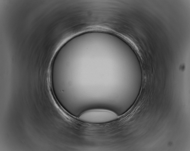 X0000100941391200806241152