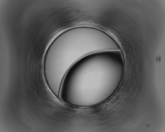 X0000100941392200806241152