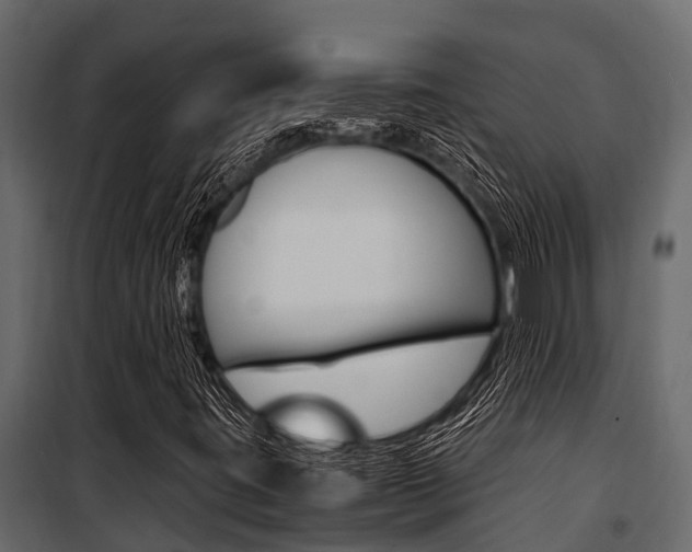 X0000100941395200806241151