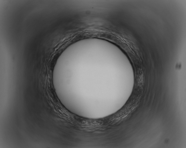 X0000100941397200806241151