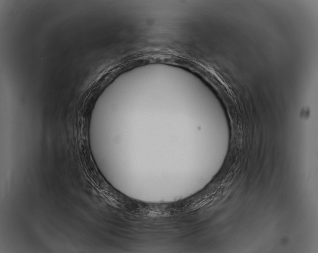 X0000100941399200806241151