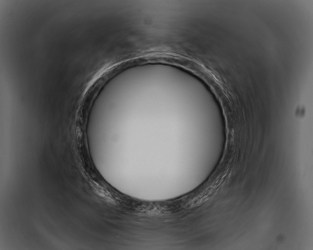 X0000100941400200806241151