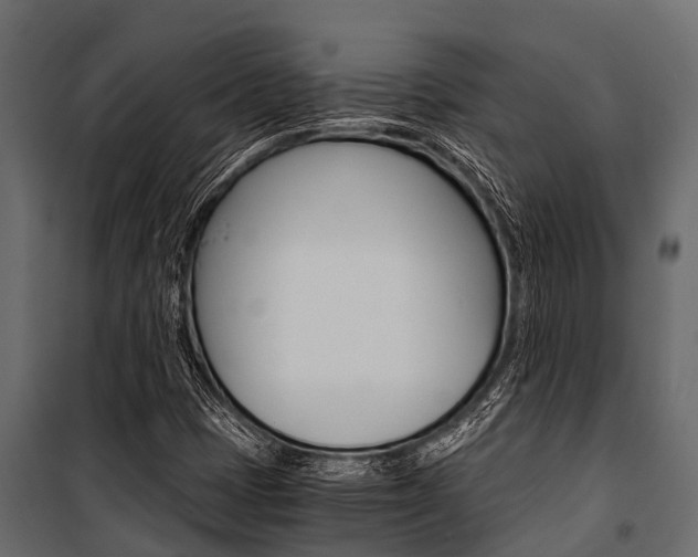 X0000100941401200806241151