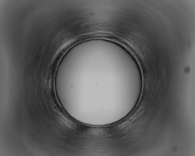 X0000100941402200806241151