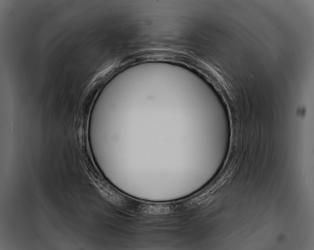 X0000100941403200806241151