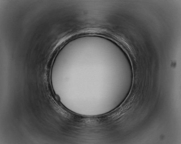X0000100941404200806241151