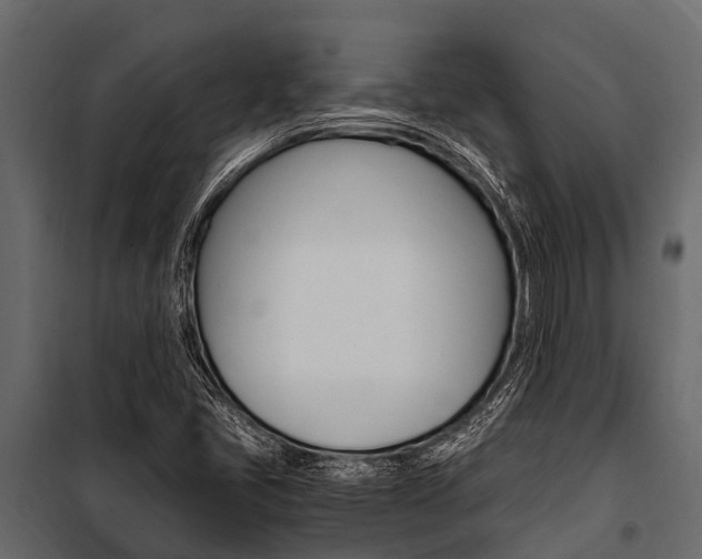 X0000100941405200806241151