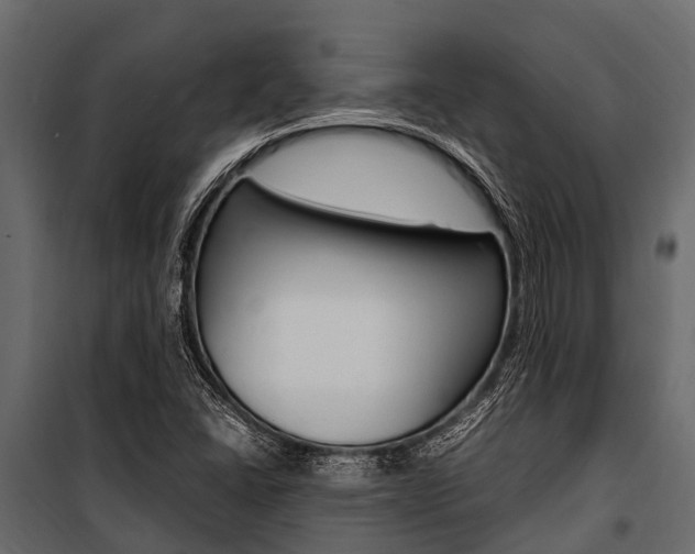 X0000100941406200806241151