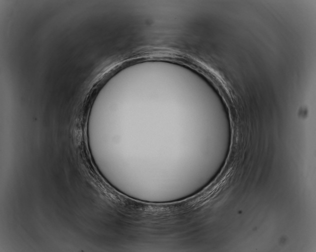 X0000100941407200806241151