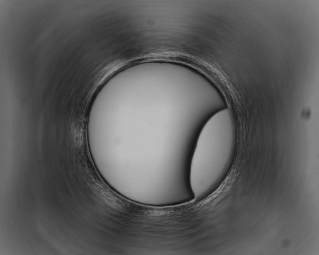 X0000100941409200806241151