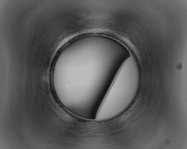 X0000100941412200806241151