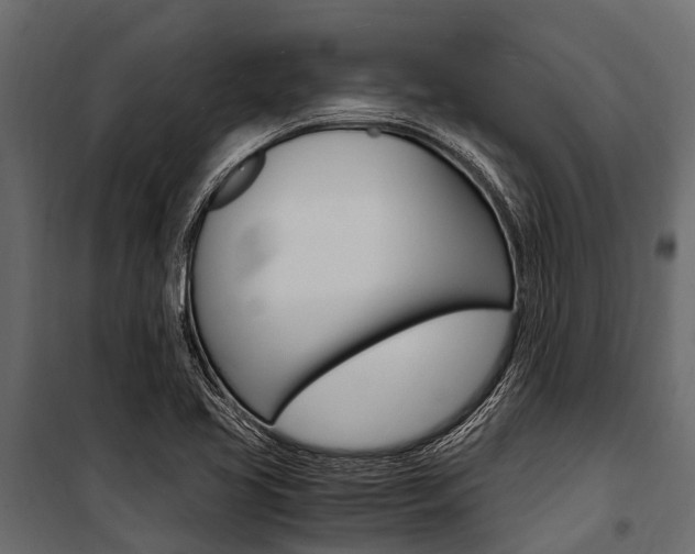 X0000100941413200806241151