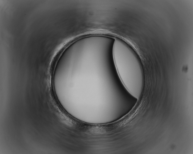 X0000100941414200806241151