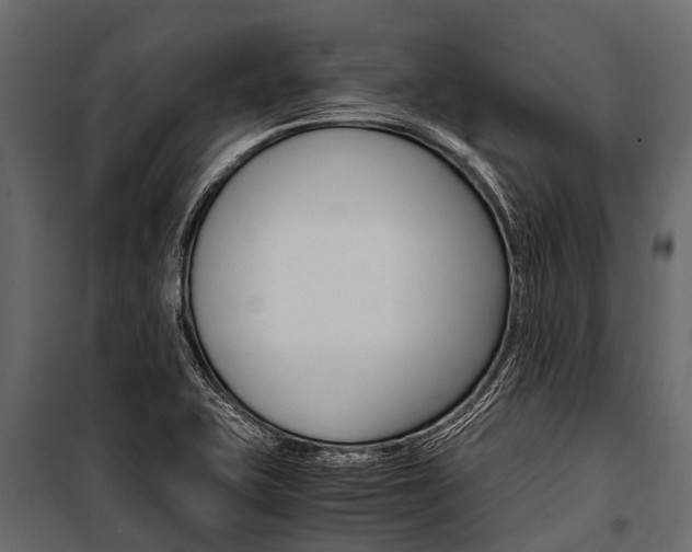 X0000100941415200806241151