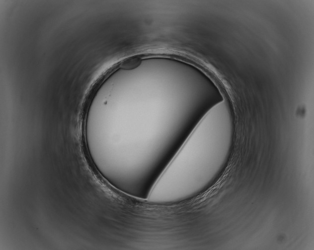 X0000100941416200806241151
