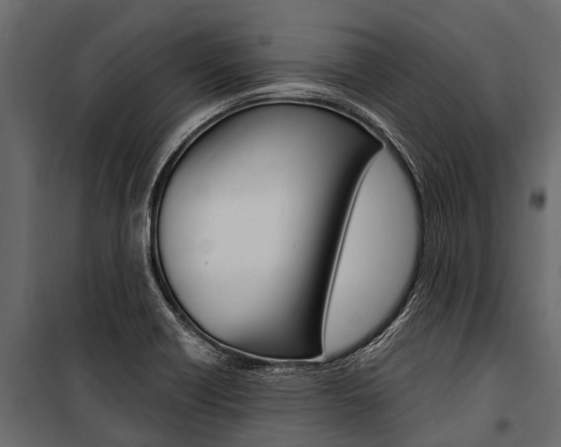 X0000100941418200806241151