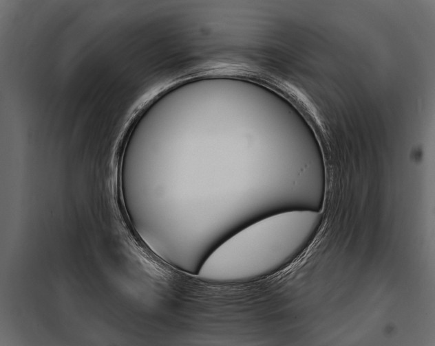X0000100941419200806241151