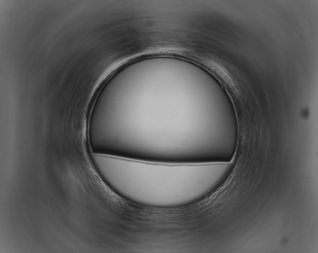 X0000100941420200806241151