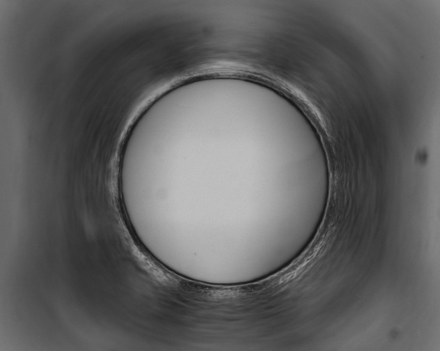 X0000100941421200806241151