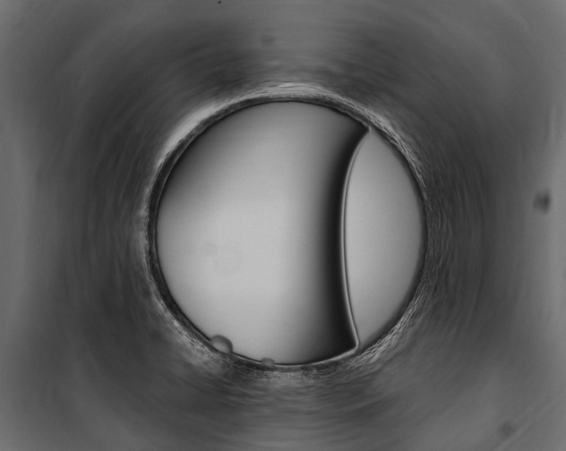 X0000100941422200806241151