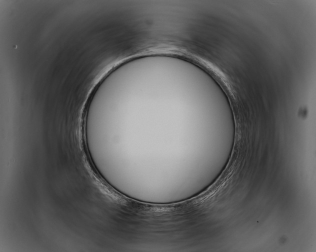 X0000100941423200806241152
