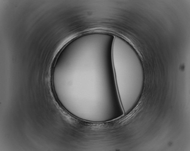 X0000100941426200806241152