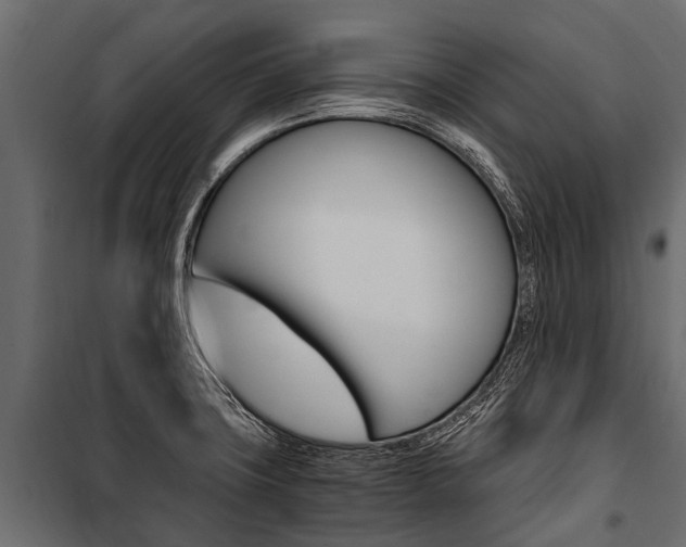 X0000100941427200806241152