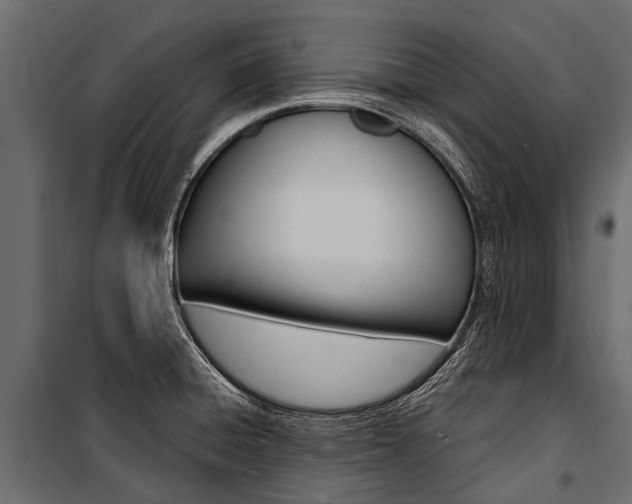 X0000100941428200806241152