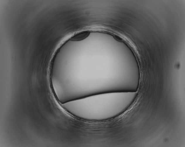 X0000100941429200806241152