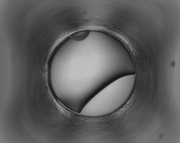 X0000100941430200806241152