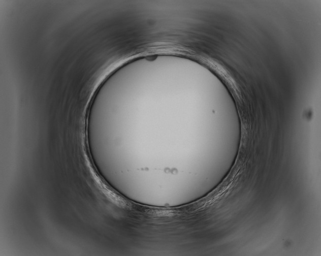 X0000100941431200806241152