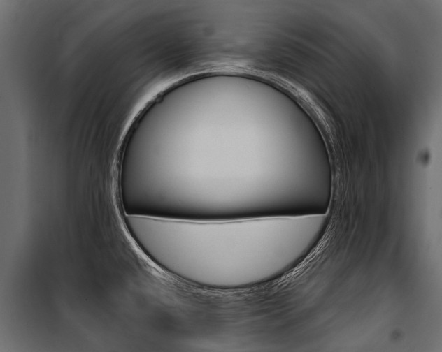 X0000100941432200806241152