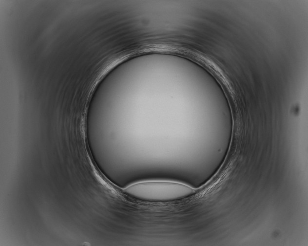 X0000100941433200806241152