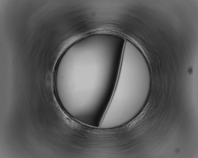 X0000100941434200806241152
