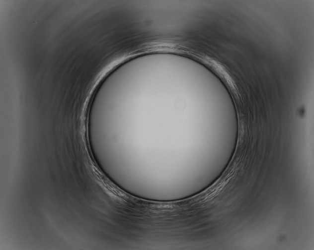 X0000100941435200806241152