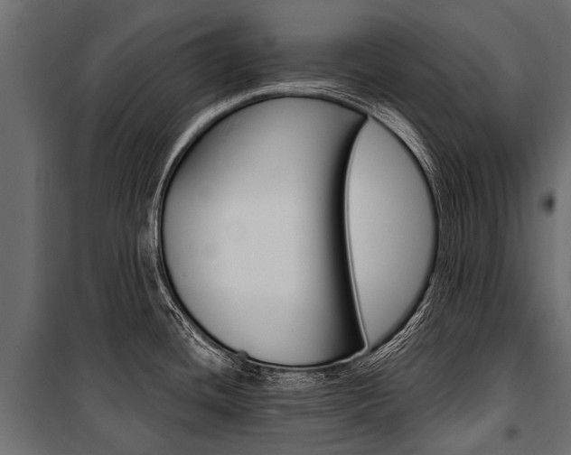 X0000100941436200806241152