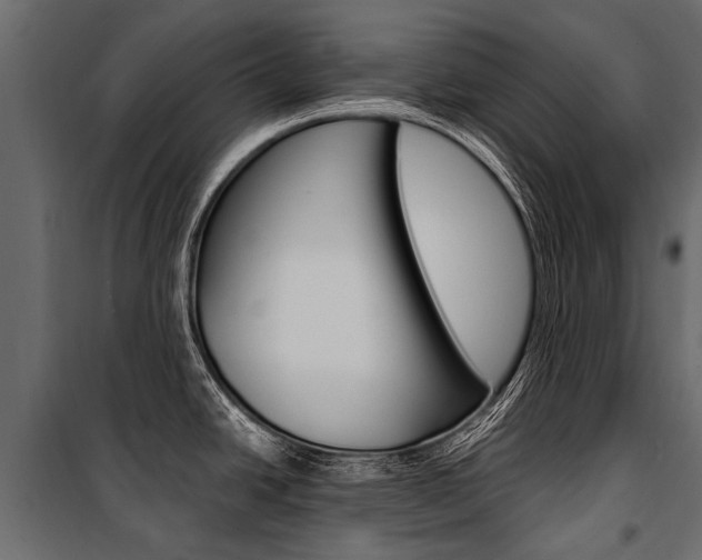 X0000100941438200806241152