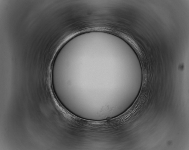 X0000100941439200806241152