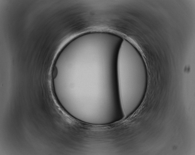 X0000100941440200806241152