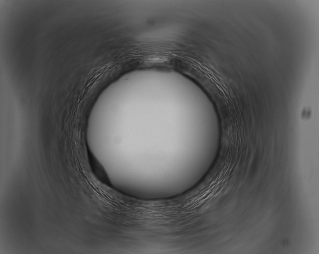 X0000100941441200806241151