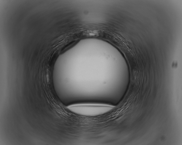 X0000100941442200806241151
