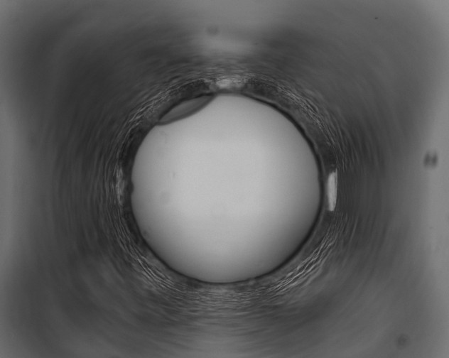 X0000100941443200806241151