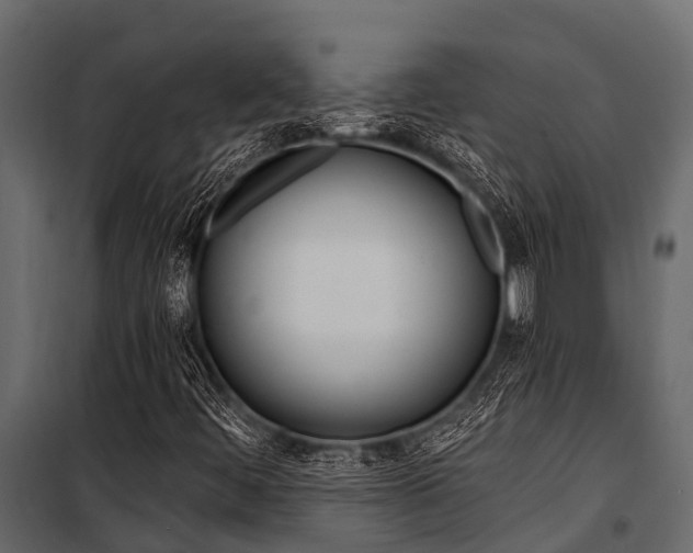 X0000100941444200806241151