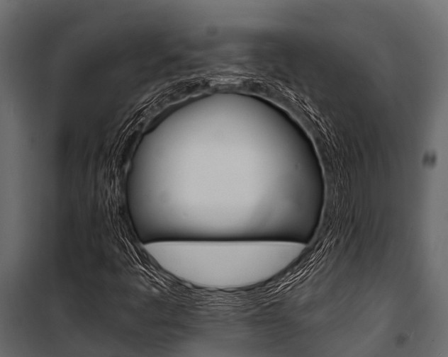 X0000100941445200806241151