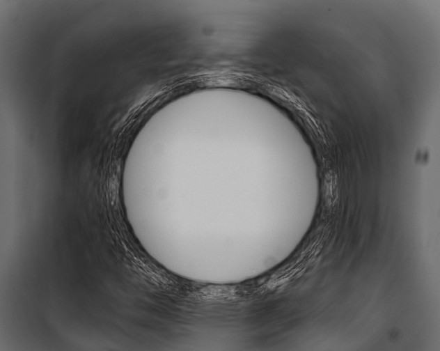 X0000100941446200806241151